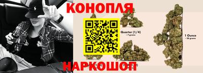 гидропоника Дубна