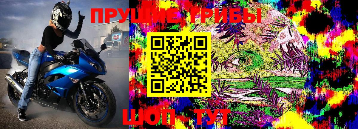 Псилоцибиновые грибы Magic Shrooms Вятские Поляны