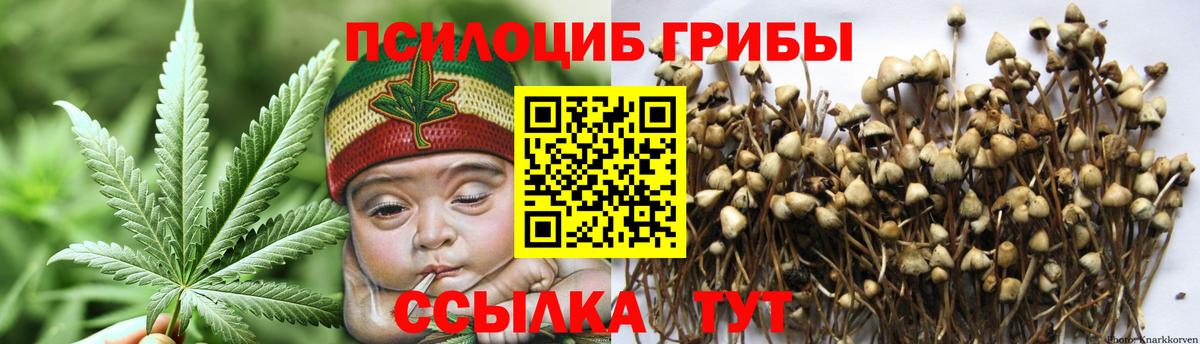 Псилоцибиновые грибы мухоморы  Вход с VPN  Вятские Поляны 